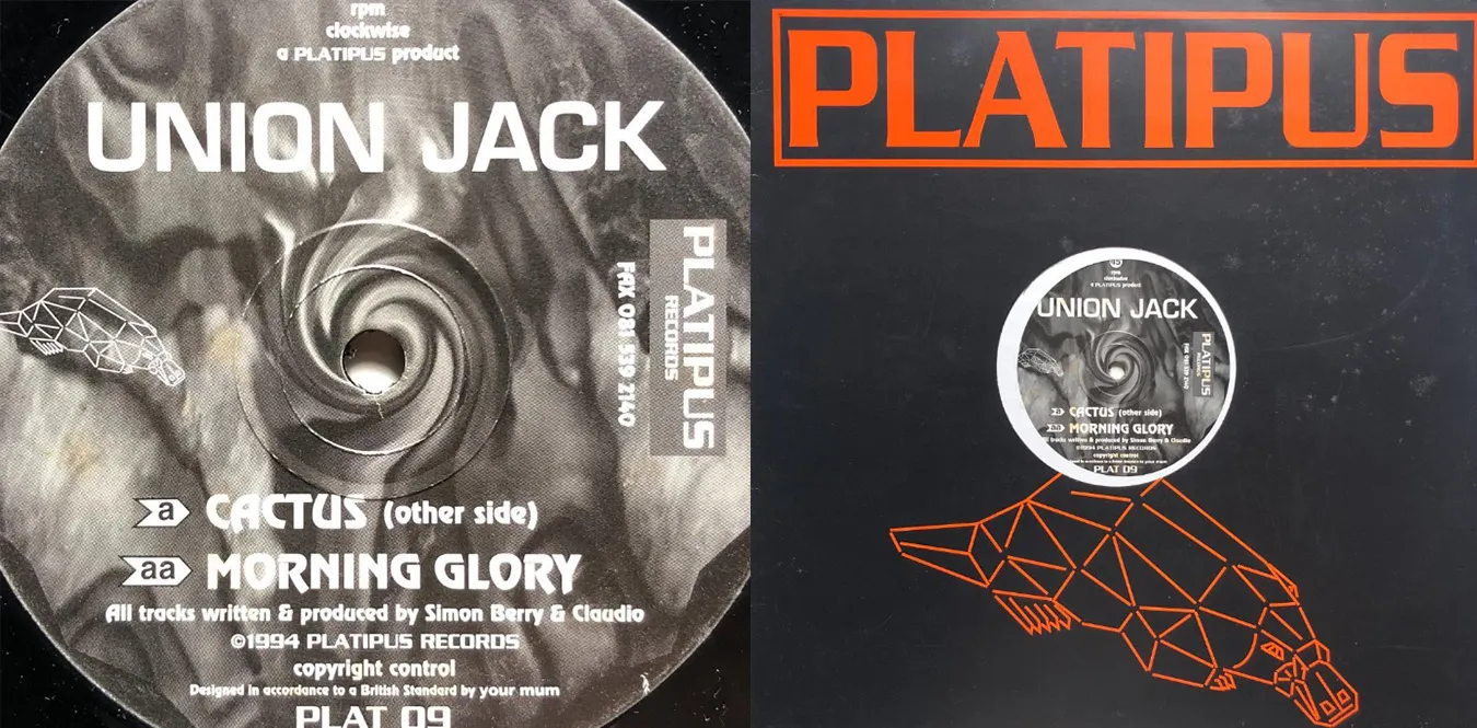 Union Jack – Cactus Morning Glory